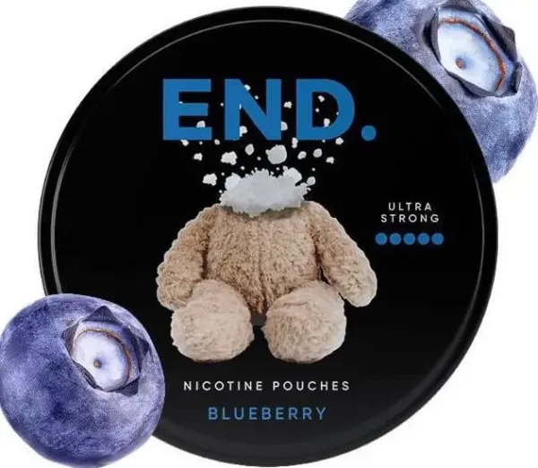 END Blueberry 30mg
