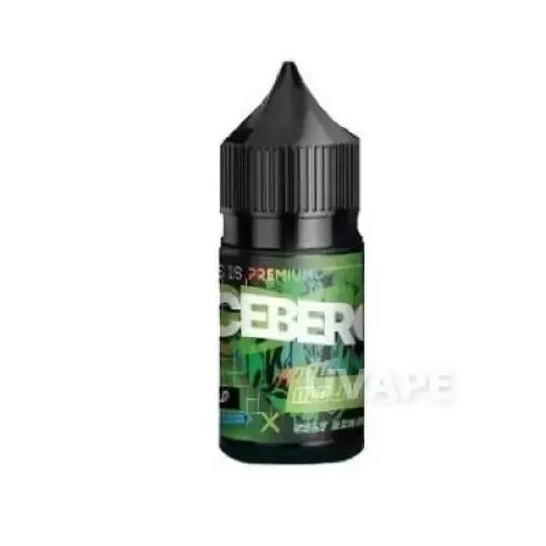 Iceberg Premium Salt 30 мл Mojito 5%