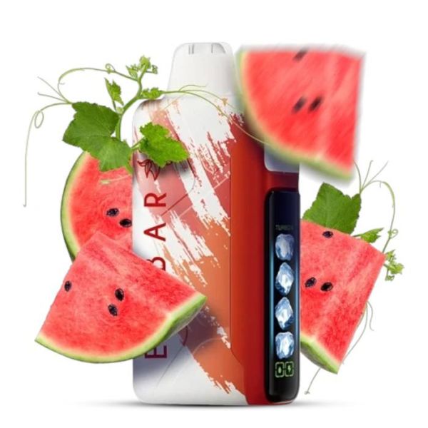 Elf Bar Nic King  30000 Watermelon Ice