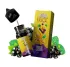 Набор Mood Duck Currant Menthol 10ml